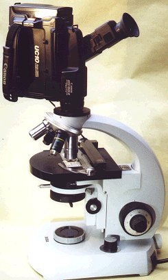 Microscope with camcorder