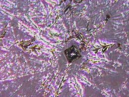 Crystal growth of table salt
